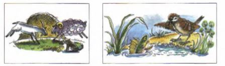 с. 37 Произведения про животных